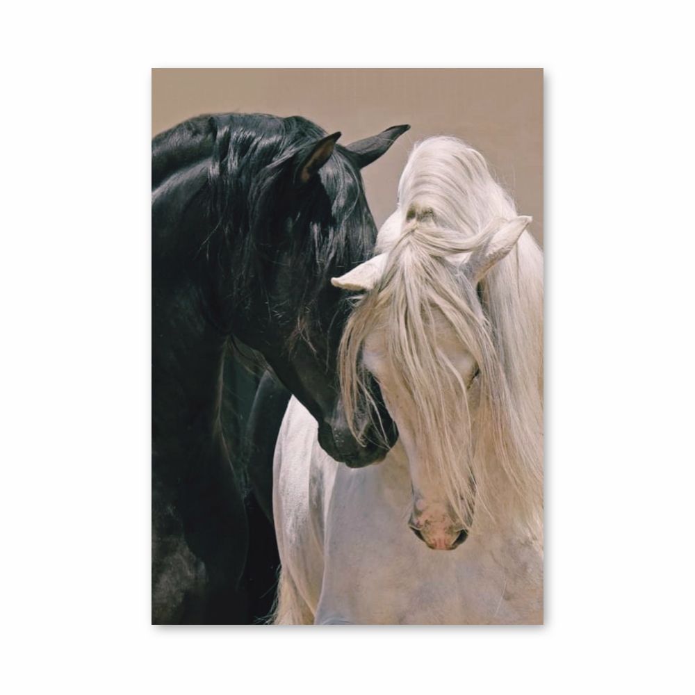 Aesthetic Horses Poster