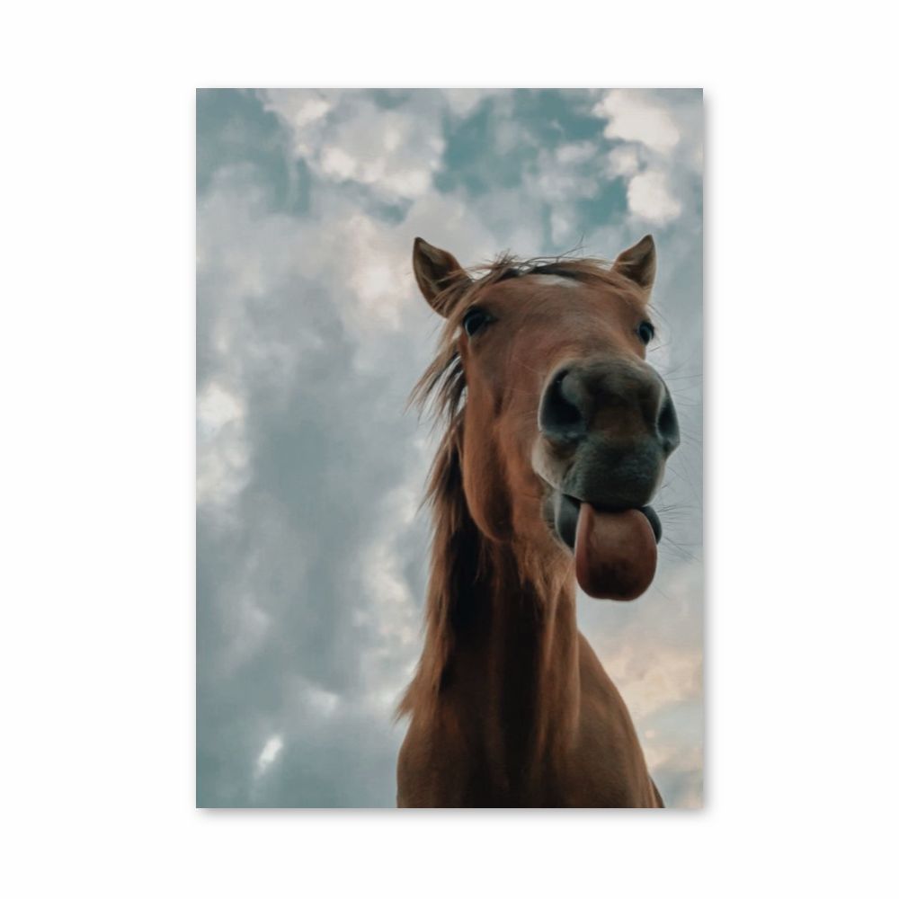 Funny Horse Poster