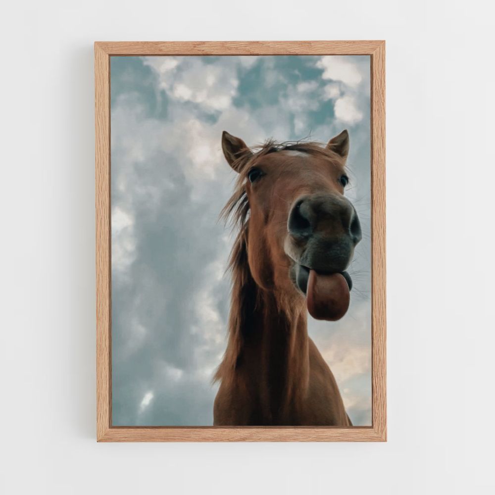 Funny Horse Poster