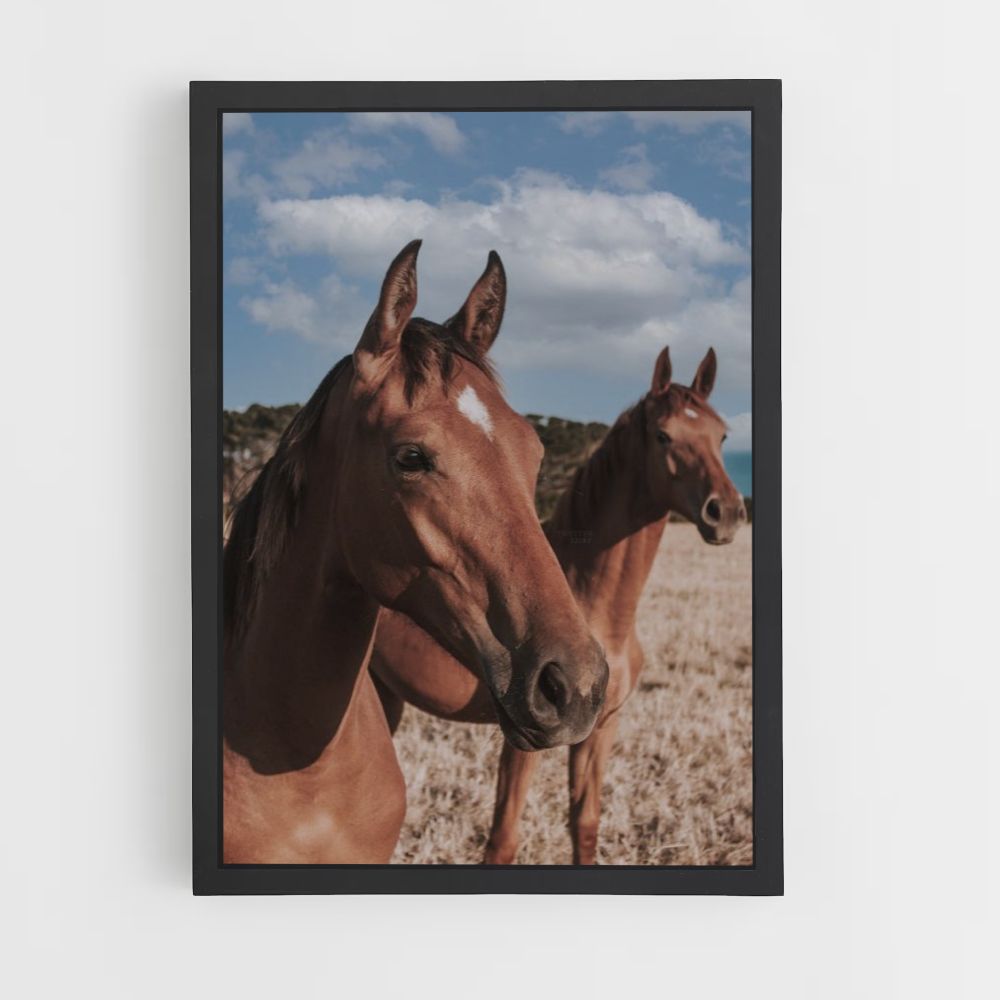 Brown Horses Poster