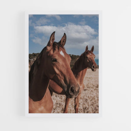 Brown Horses Poster