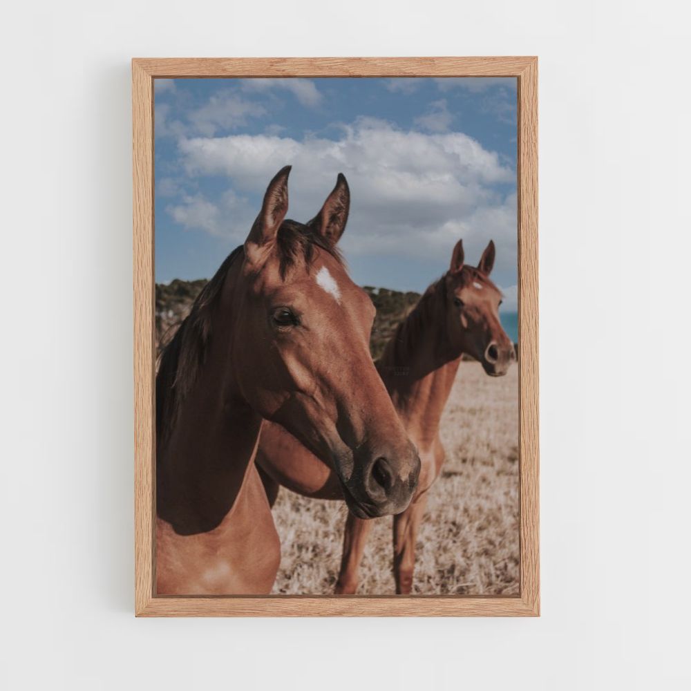 Brown Horses Poster