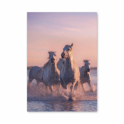 White Horses Poster