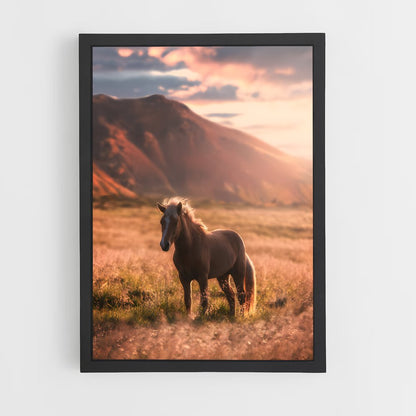 horse-8 cadre Noir