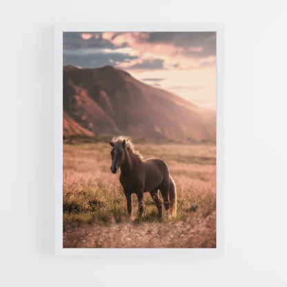 Horse Nature Poster