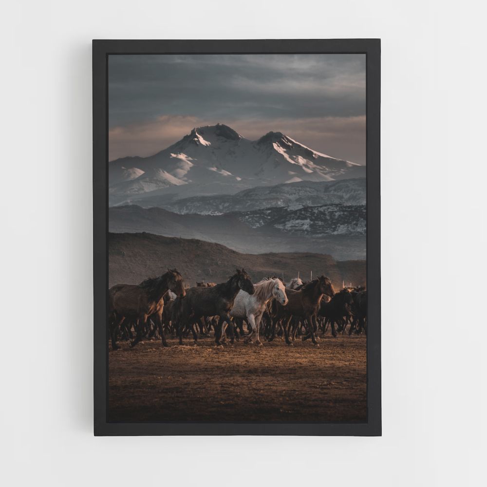 Herd of Horses Poster