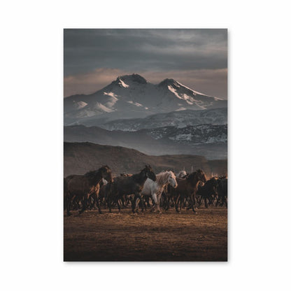 Herd of Horses Poster