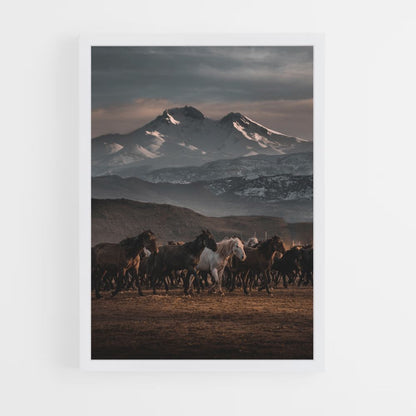 Herd of Horses Poster