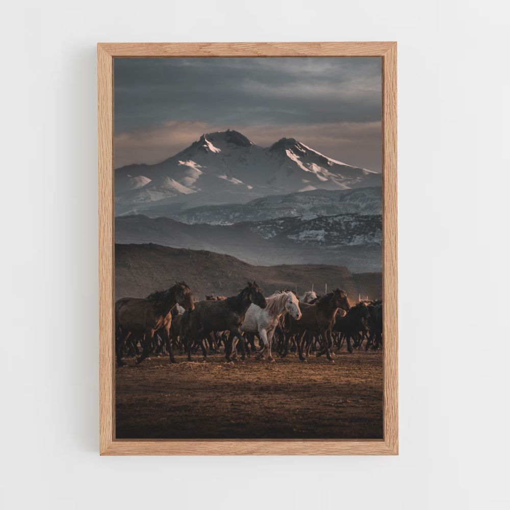 Herd of Horses Poster