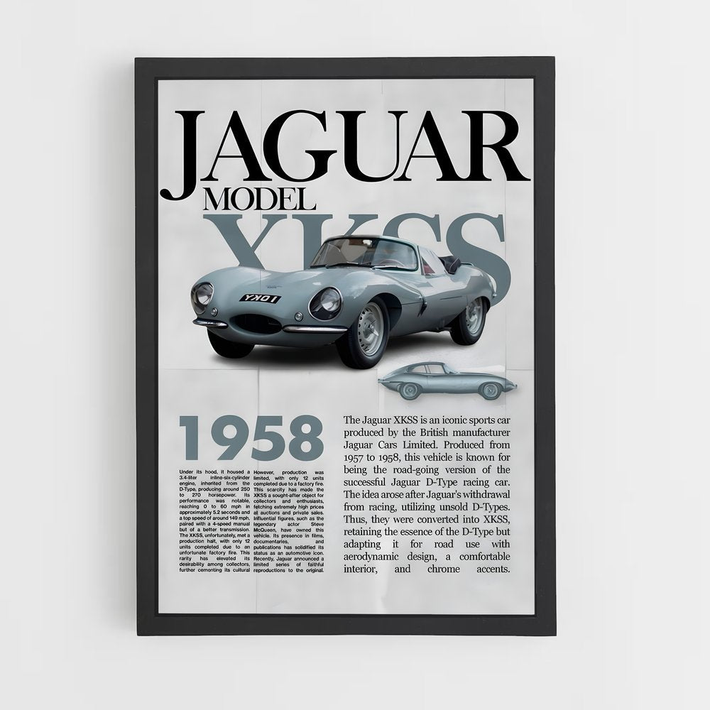 jaguar-4 cadre Noir