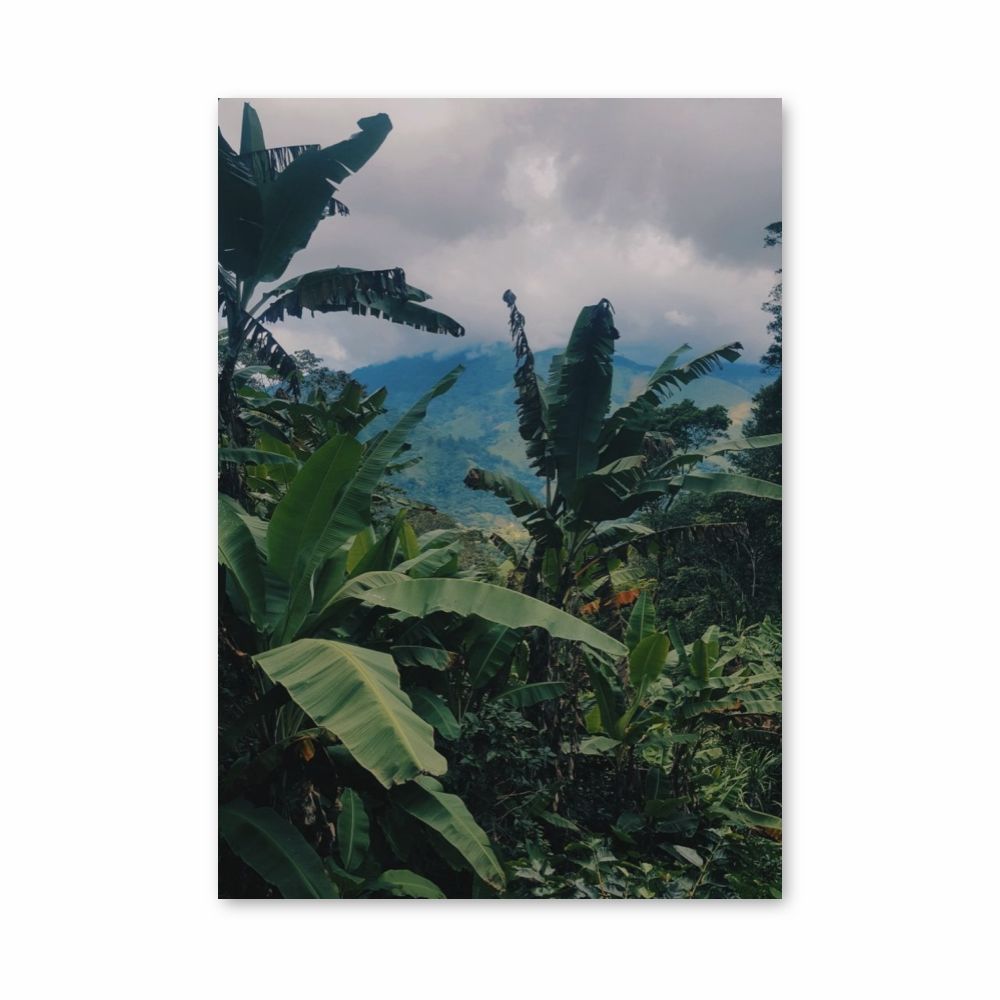 Jungle Banana Poster