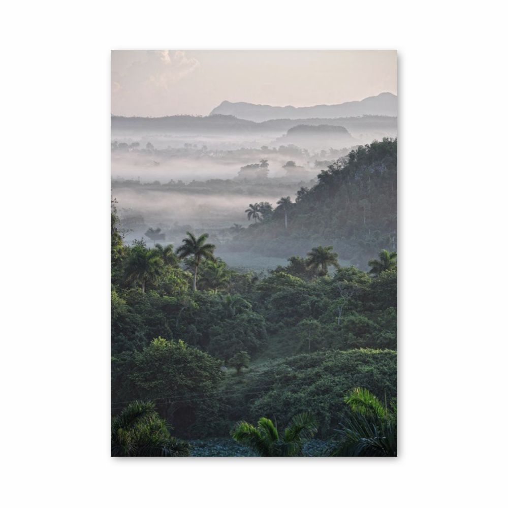 Tropical Jungle Poster