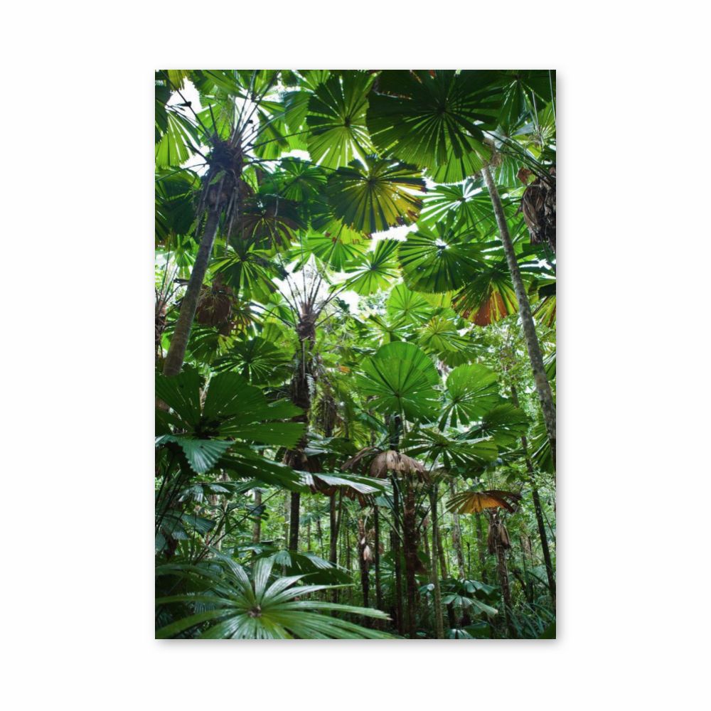 Jungle Leaf Poster