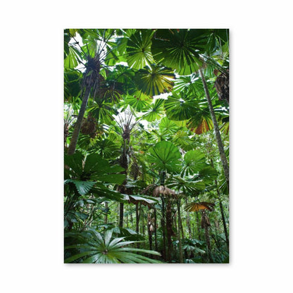 Jungle Leaf Poster