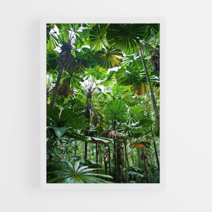 Jungle Leaf Poster