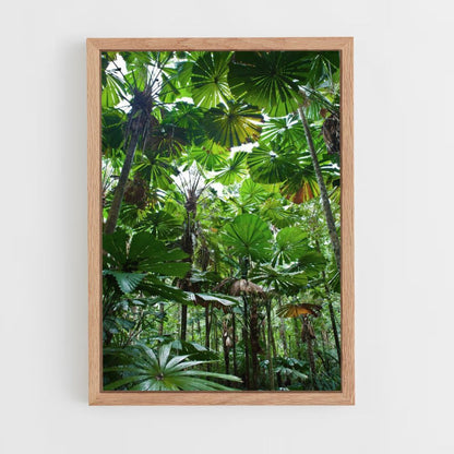 Jungle Leaf Poster