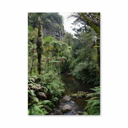 Jungle River Poster