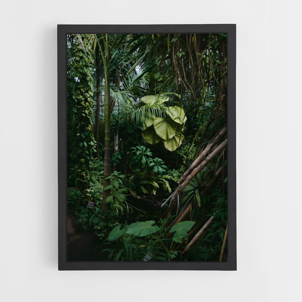 jungle-8 cadre Noir