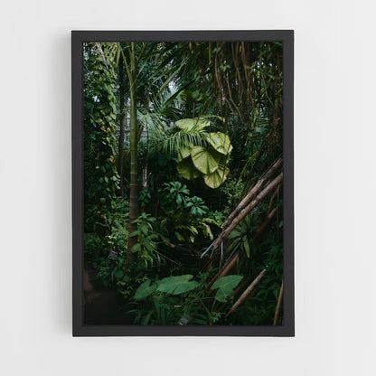 jungle-8 cadre Noir