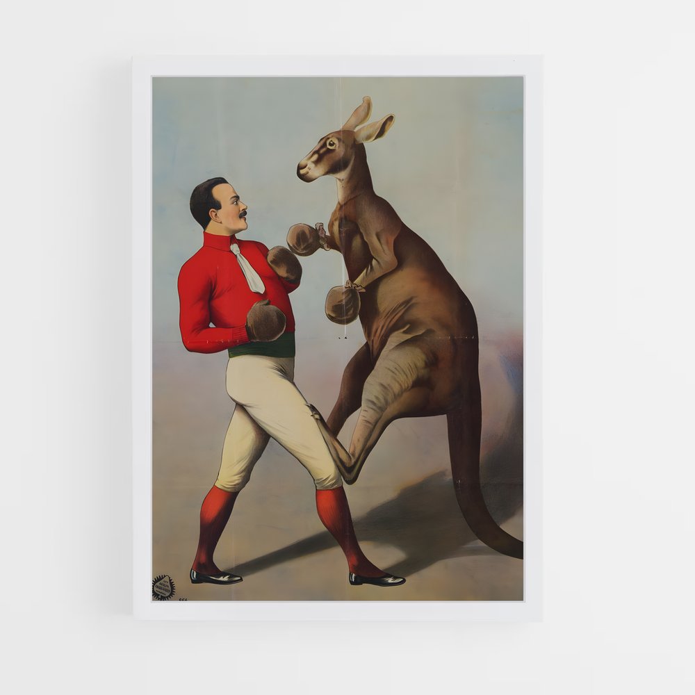 kangaroo-11 cadre Blanc