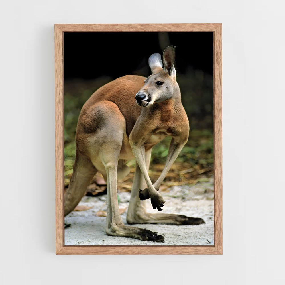 kangaroo-7 cadre Bois clair