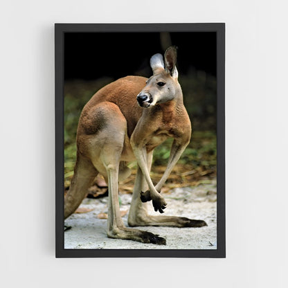 kangaroo-7 cadre Noir