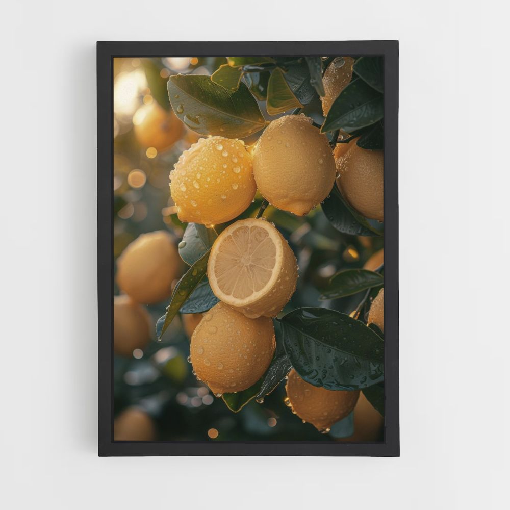 Lemon Tree Poster