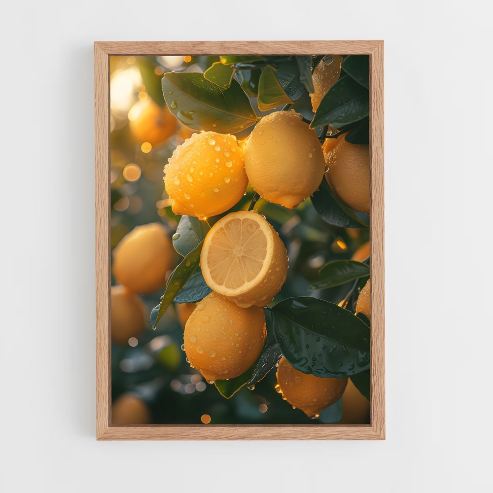 lemon-5 cadre Bois clair