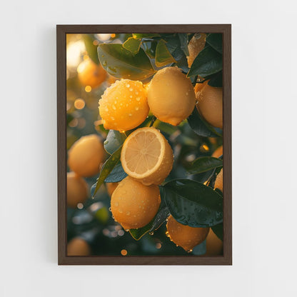 lemon-5 cadre Bois foncé