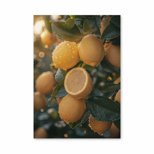 Lemon Tree Poster