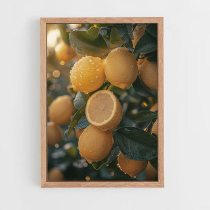 Lemon Tree Poster