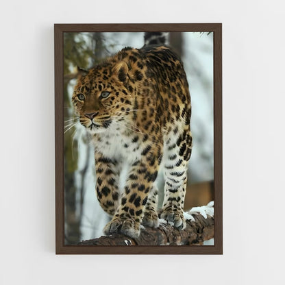 leopard-10 cadre Bois foncé