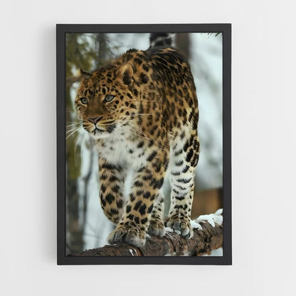 leopard-10 cadre Noir