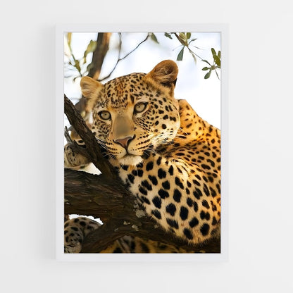 leopard-6 cadre Blanc