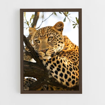 leopard-6 cadre Bois foncé