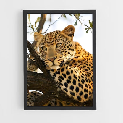leopard-6 cadre Noir