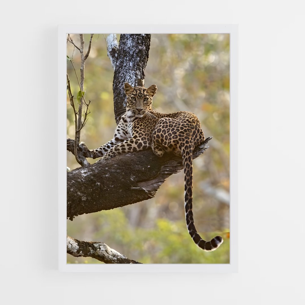 leopard-9 cadre Blanc