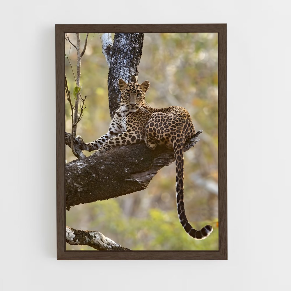 leopard-9 cadre Bois foncé