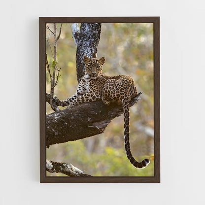 leopard-9 cadre Bois foncé