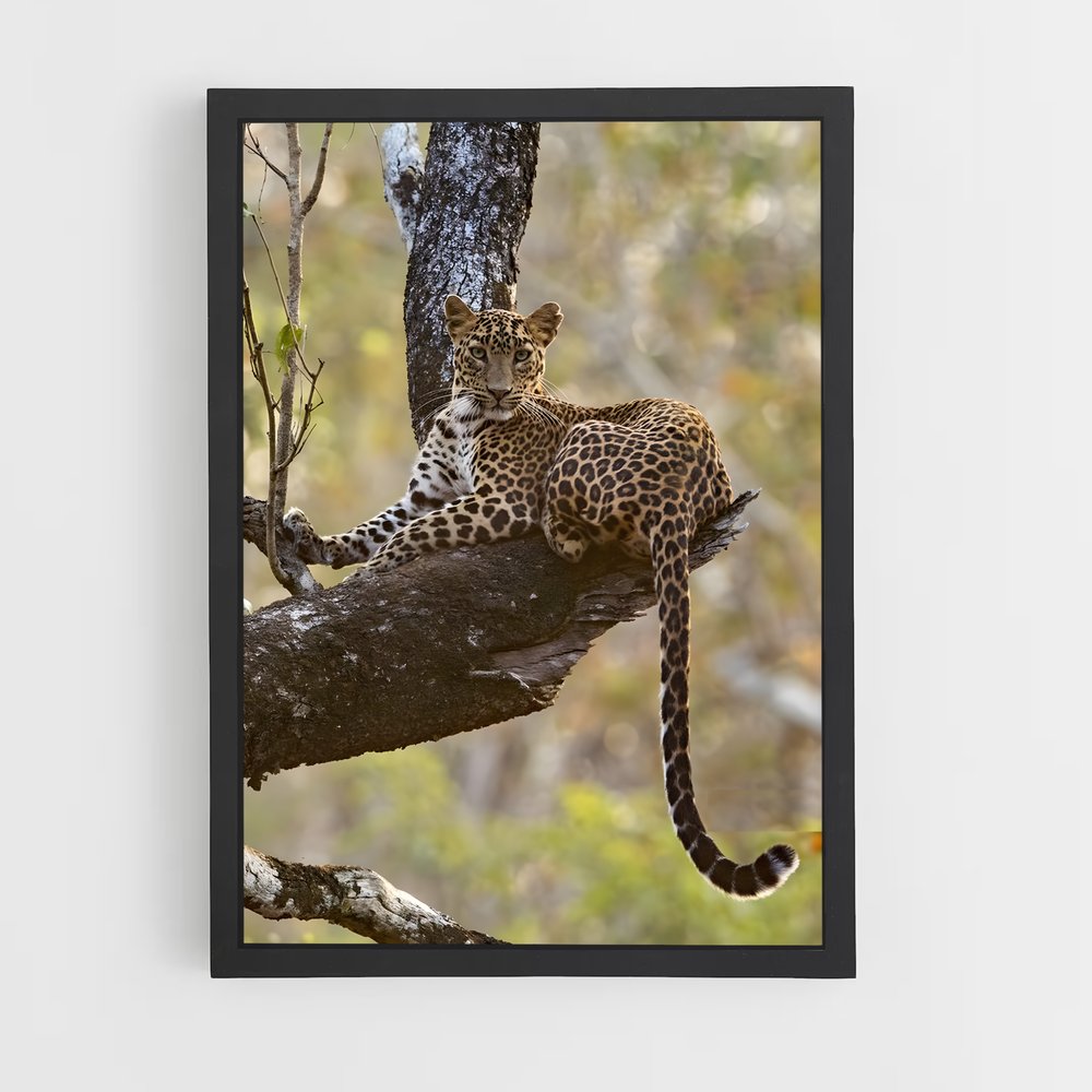 leopard-9 cadre Noir