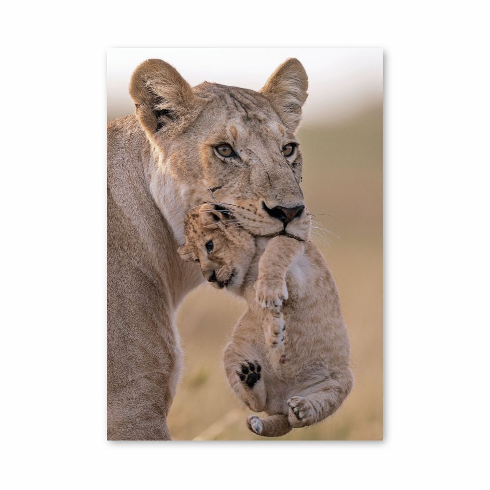 Lioness and Cub Poster