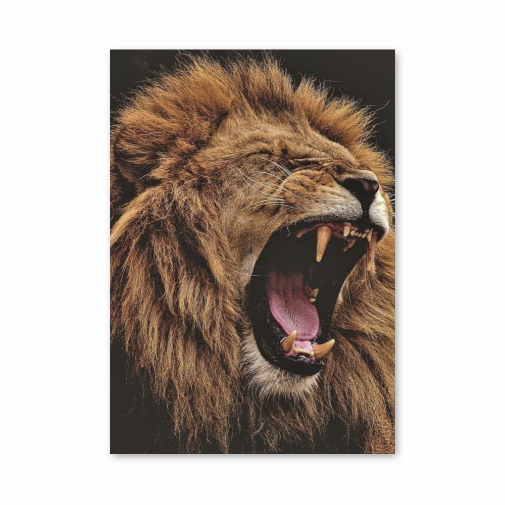 Lion Teeth Poster