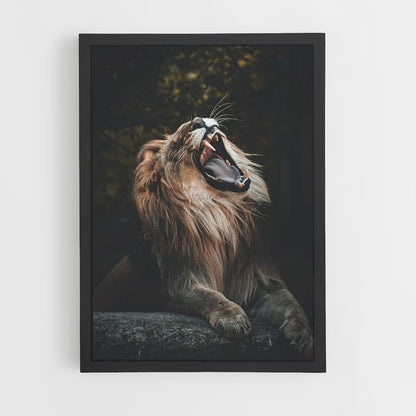 Poster Lion Yawns