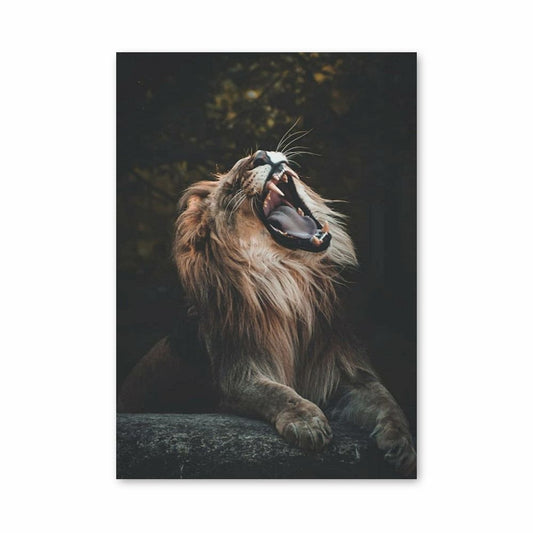 Poster Lion Yawns