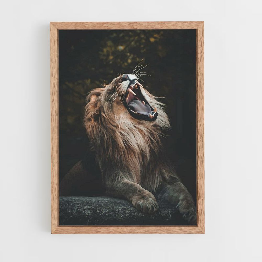 Poster Lion Yawns