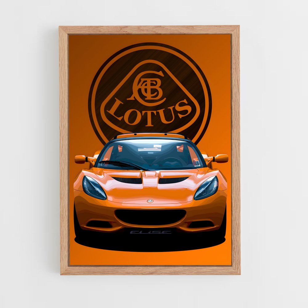 lotus-13 cadre Bois clair