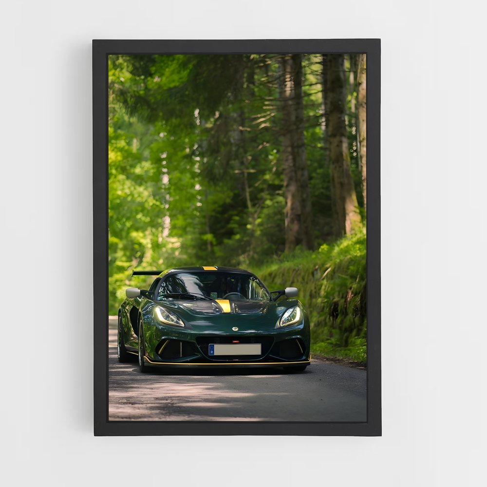 lotus-8 cadre Noir
