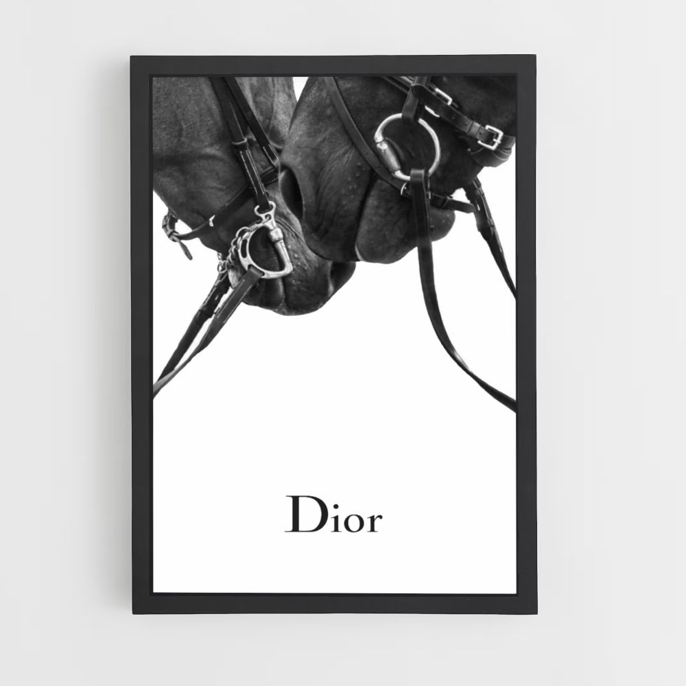 Poster Dior Horses