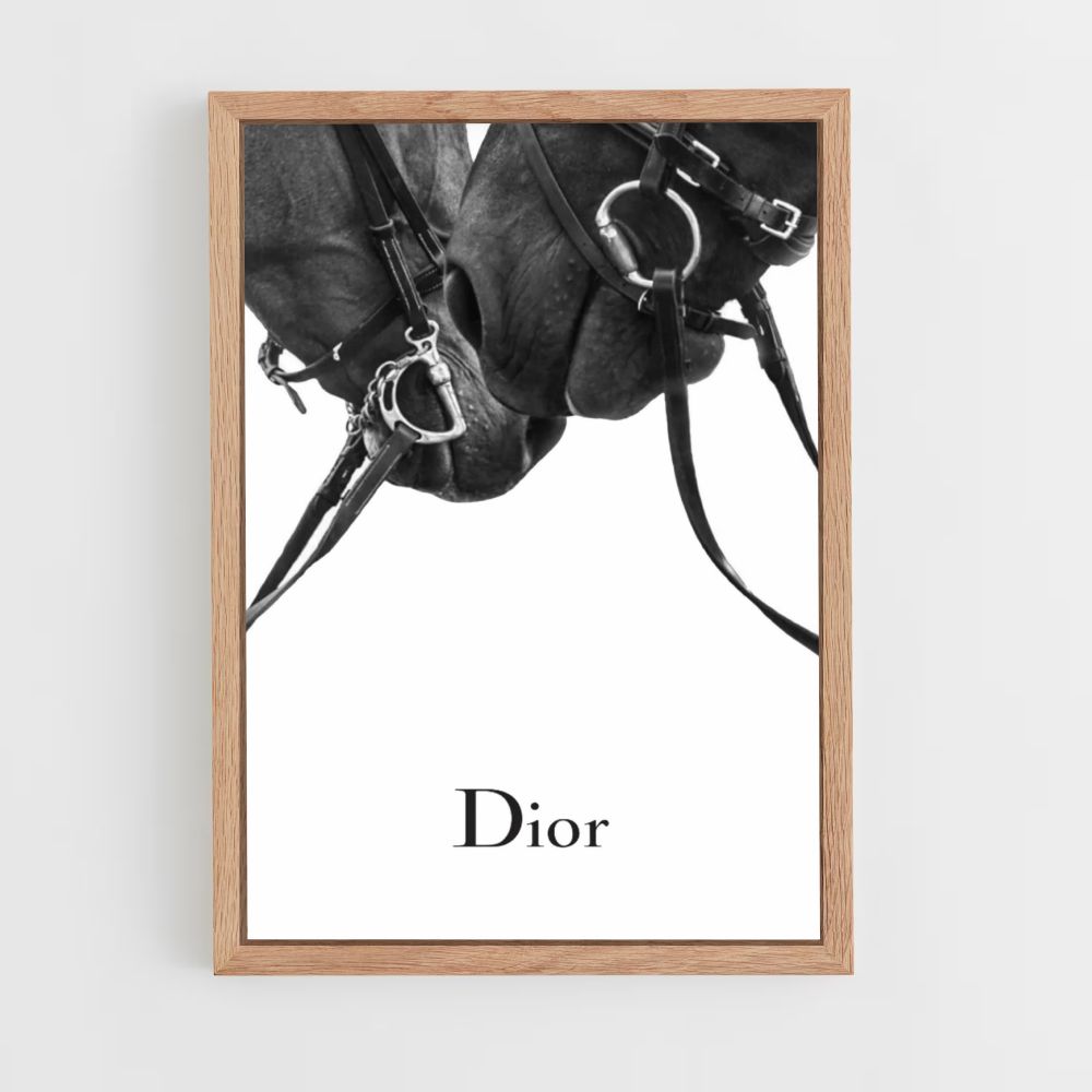 Poster Dior Horses