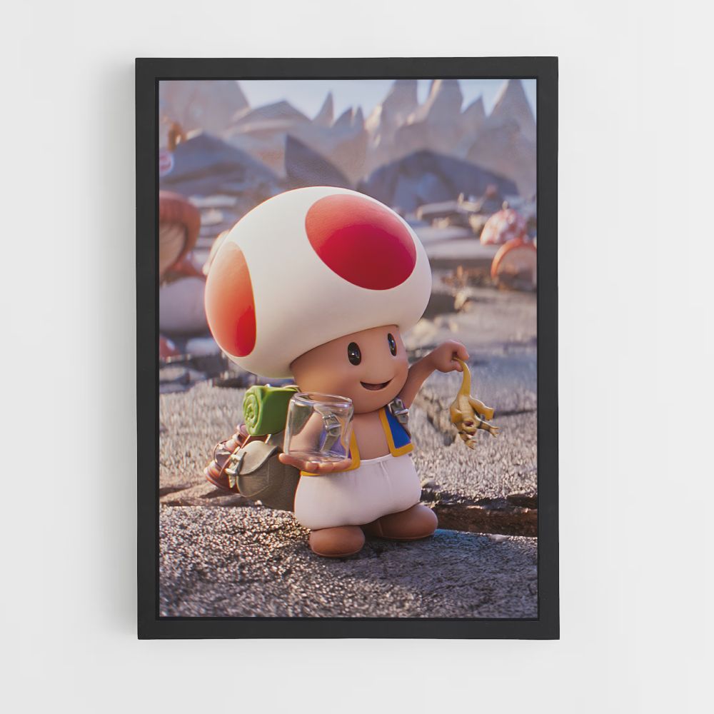 Toad Poster